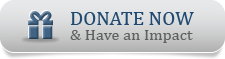 Donate Now button